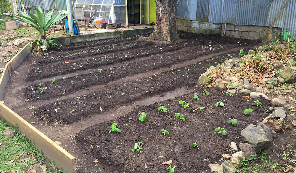 Building a Veggie Garden at Degree 18 with their entire Crew